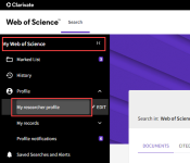 captura de pantalla de acceso al menú del perfil de investigador